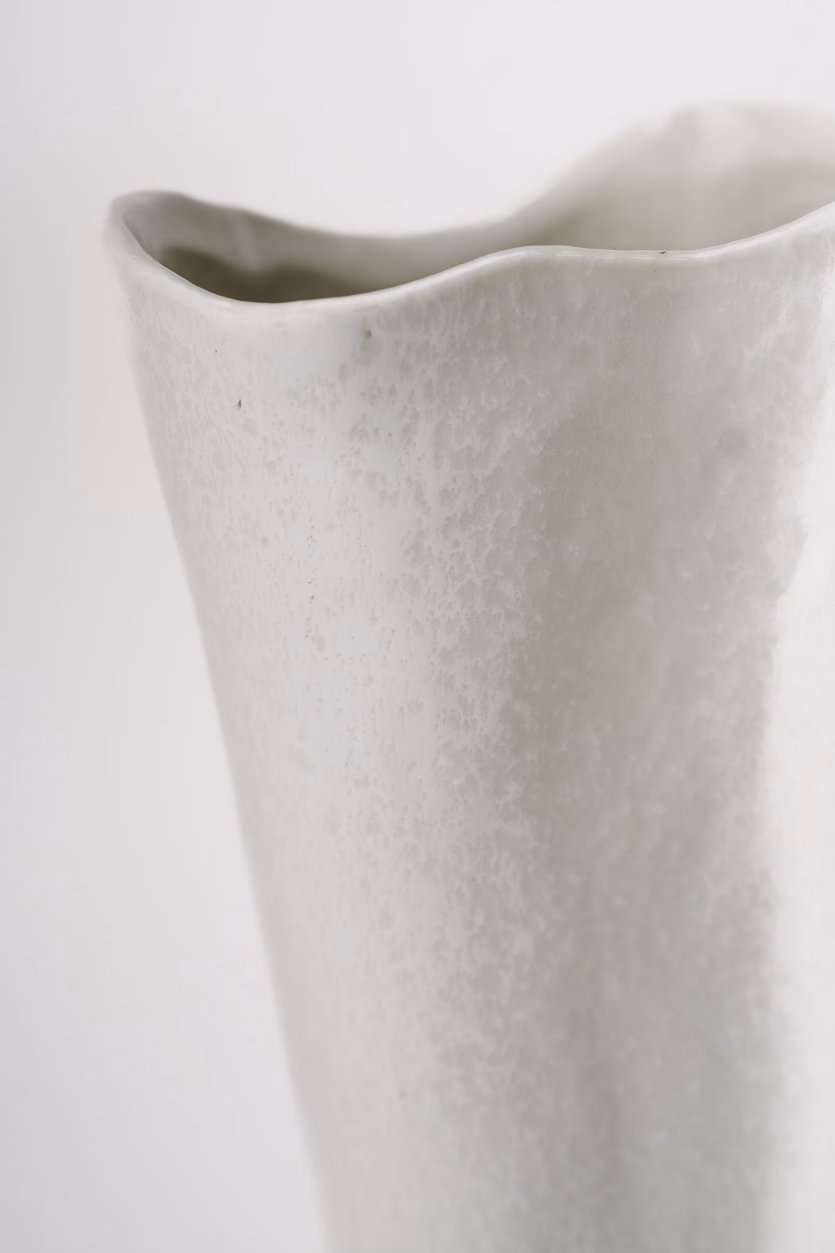 Bone L – Image 2