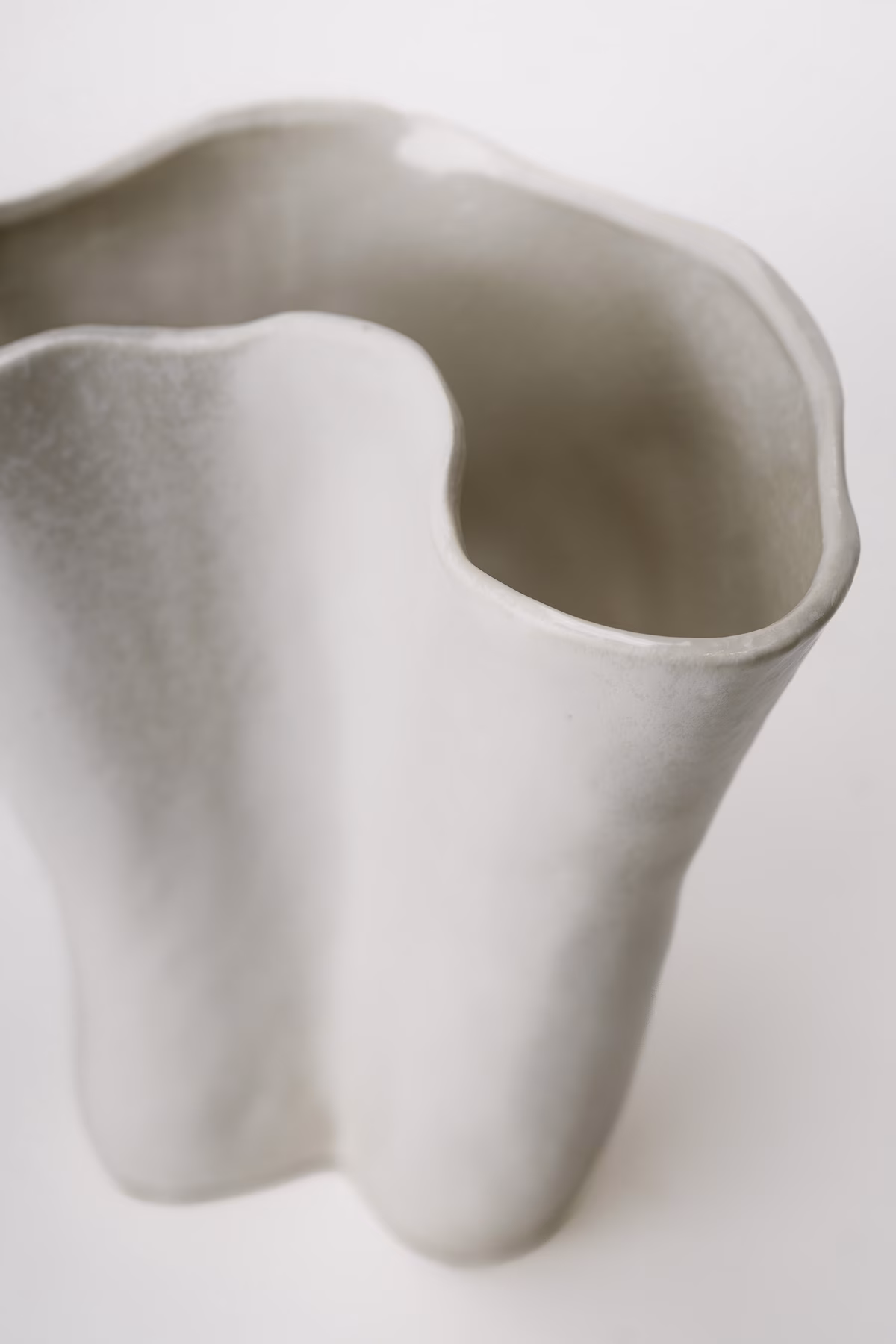 Bone S – Image 2