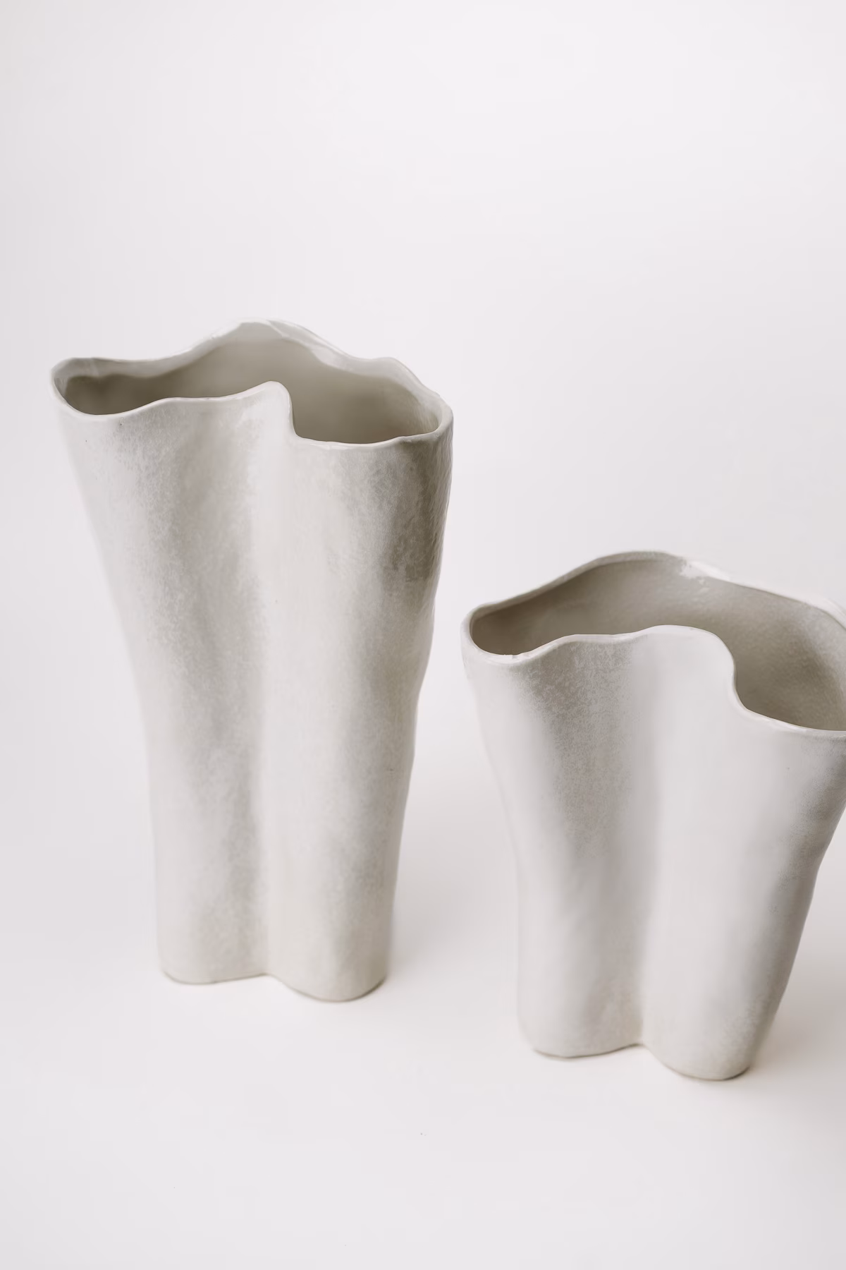 Bone S – Image 3