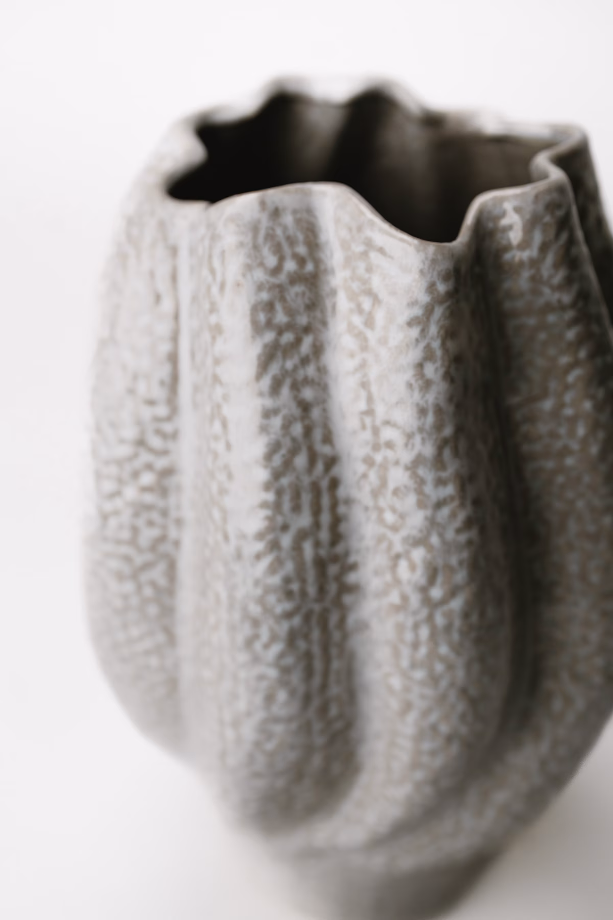 Coral – Image 2