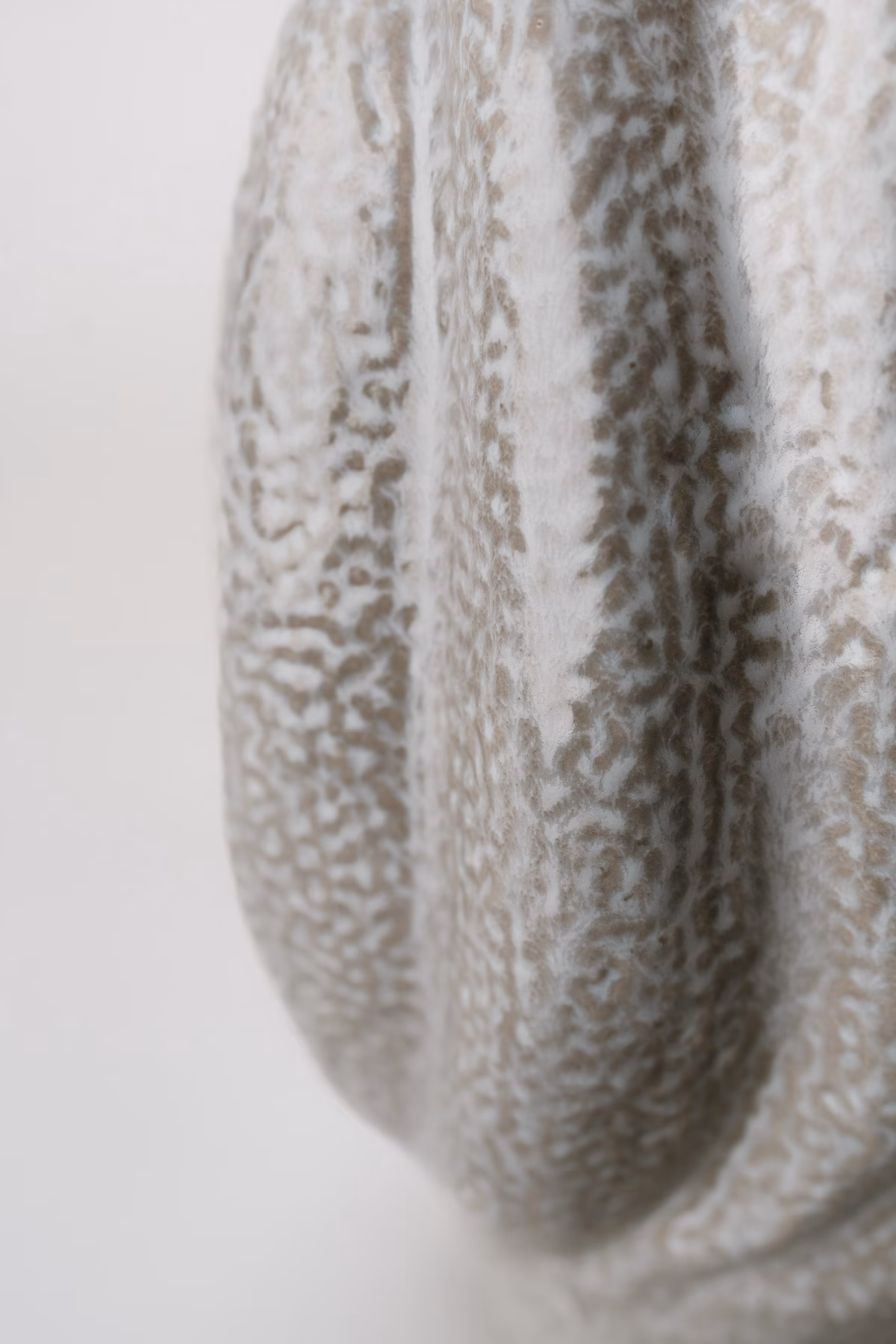 Coral – Image 3