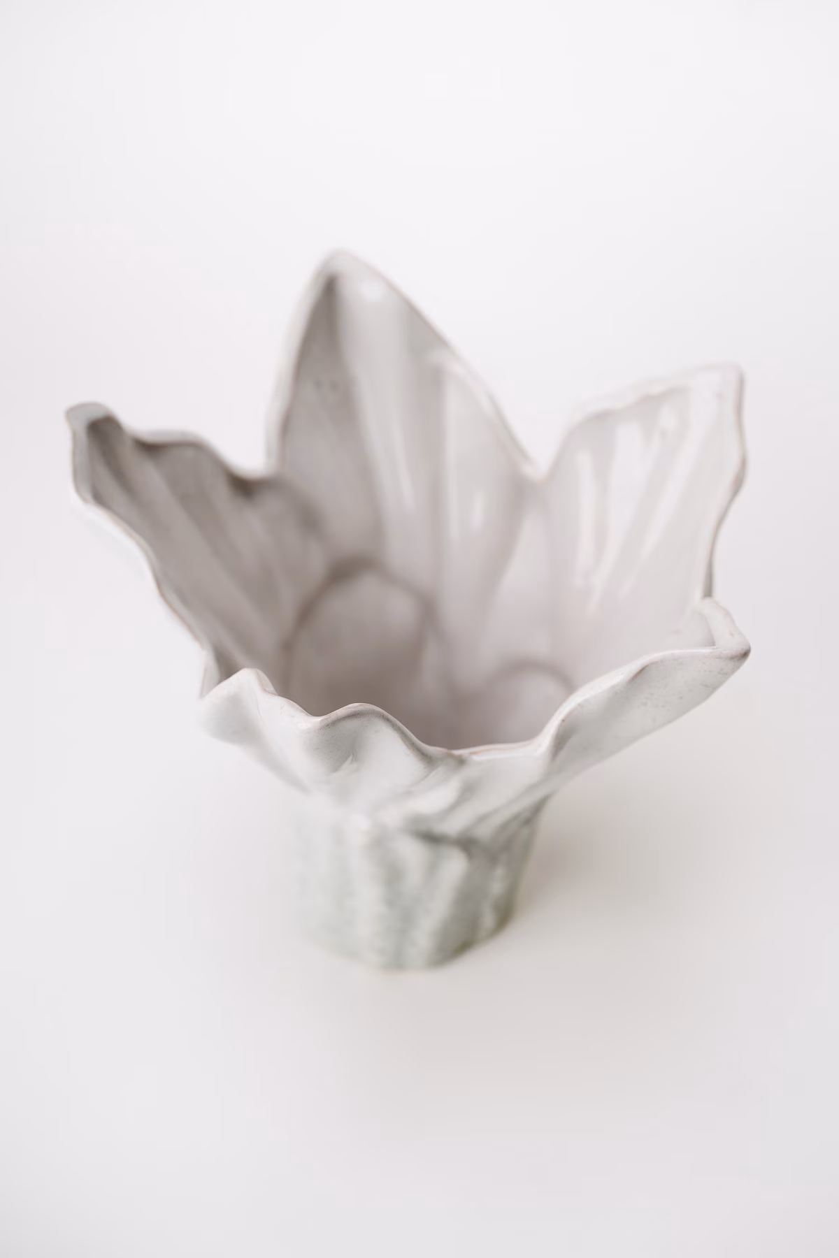 Padma – Image 3